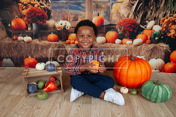 IMG_8001