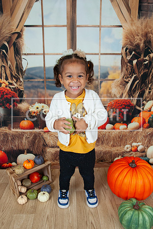 IMG_6811