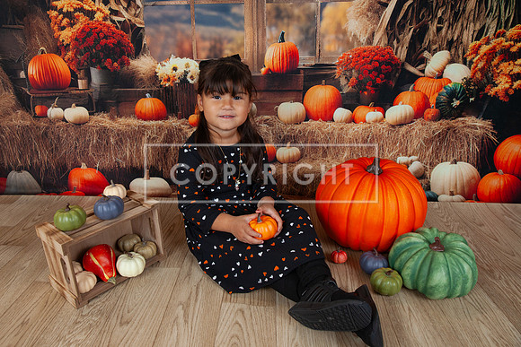 IMG_8562