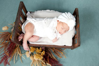 IMG_4534 2