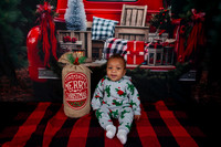Golden Bear Academy Christmas 2024 -  1